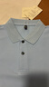丝光棉100纯棉短袖T恤男士翻领纯色230g夏季新款百搭Polo衫上衣 浅蓝色 M 170/88A 实拍图