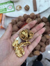 田园一丁去青皮核桃云南新鲜纸皮新鲜青核桃薄皮嫩核桃湿核桃核桃新送夹子 新鲜湿核桃1斤尝鲜装【无夹子】 实拍图