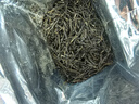 醉香一壶毛尖茶叶高山云雾绿茶2025新茶明前春茶一级浓香型自己喝的茶250g 实拍图