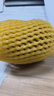 佳沛（zespri）新西兰  阳光金奇异果16粒礼盒经典果单果约 77-103g 水果 猕猴桃 实拍图