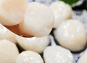 福字号【大连产地】速冻扇贝柱大号 80-120粒1kg/袋 开学烧烤季聚餐 实拍图