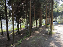 NatureHike挪客Village 6.0屋脊2代速开帐篷天幕户外露营黑胶防晒防雨小屋帐 实拍图