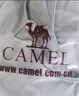 骆驼（CAMEL）户外晨跑运动服女休闲短袖两件套装 Y23BA0L6059C5 玉青色 M 实拍图