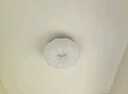 雷士（NVC）简约奶油风玄关灯书房花型吸顶灯天花灯走廊灯12瓦 包安装 实拍图