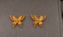 周大福 金丝羽蝶蝴蝶黄金耳钉耳饰(工费360)约2.35g EOF1371 实拍图