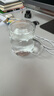 忆壶茶玻璃茶杯个人专用泡茶水分离带盖把手耐热无铅办公室绿茶水杯子 实拍图