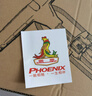 凤凰（Phoenix）高压打气筒山地自行车电动摩托车篮足气球游泳圈充气筒多用气嘴 实拍图