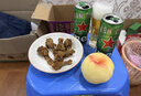 喜力啤酒330ml*15纤体听经典星银组合啤酒 整箱装 实拍图