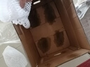 京鲜生 海南哈密瓜/西州蜜 4粒 净重10斤起 单果2.5斤起 生鲜水果礼盒 实拍图
