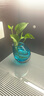 柏梵（bofan） 新中式现代轻奢小花瓶ins花器插花高级感玻璃摆件客厅欧式高档仿真花 艺术小花瓶蓝色-斜款 实拍图