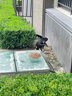比瑞吉狗粮爱不将就小型中大型金毛成犬狗粮牛肉味16kg添加鱼油原料透明 实拍图