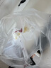 SPUCR苏泊空气炸锅家用可视窗口6升10升大容量精准控温定时免翻面无油烟电炸锅不沾煎炸锅大功率烤箱 6L 【标准款】双旋钮操控（免翻面循环热风） 实拍图
