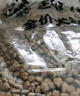 麦富迪狗粮 藻趣儿狗粮幼犬粮牛肉螺旋藻 呵护肠胃2.5kg 实拍图