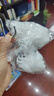 拜杰厨房水槽架专用滤网200只大水槽过滤网洗碗池洗菜盆垃圾网兜 实拍图