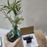 佰花锦水培植物室内花卉绿植盆栽办公室四季常青好养活桌面盆景懒人首选 水培小玻璃瓶+文竹+圆形底座 整体高度约10-20cm/不同植物高度不同 实拍图