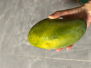 三亚芒果  海南芒果新鲜水果生鲜整箱当季大青皮芒 热带孕妇芒果 10斤装(净果8.5-9斤)单果300g+ 实拍图