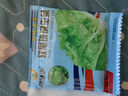 【京东物流】蔬菜种子四季播盆栽阳台庭院香菜生菜菠菜简单秋易种 玻璃生菜种子1包约1000粒 实拍图