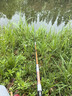 达亿瓦（DAIWA） CROSSFIRE 路亚竿入门路亚杆钓竿路亚钓鱼竿 进口路亚竿 1.68m 562ULS CS（超软调直柄） 实拍图