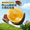 三只松鼠有机甘栗仁500g 熟制即食板栗仁栗子仁坚果零食品 团购送礼 实拍图