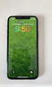 Apple iPhone 11 Pro 苹果11pro手机  二手手机 备用机学生机 国行国行补贴 暗夜绿色 256G 实拍图