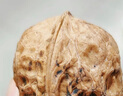 楼兰蜜语新疆核桃3斤装原味薄皮核桃量贩节日送礼盒每日坚果零食炒货新疆 实拍图