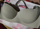 猫人（MiiOW）小巨蛋内衣女小胸升杯聚拢显大提拉支撑无痕无钢圈文胸胸罩可机洗 实拍图