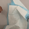 HONEYCARE好命家 宠物尿垫猫狗尿片 新手训导防漏尿布 厕所垫S码33*45cm 实拍图