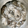 美加佳三去小章鱼净重2斤（500g*2袋）16-26只 去脏八爪鱼 实拍图