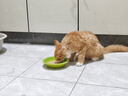 麦富迪猫粮 barf霸弗天然猫粮冻干生骨肉成猫粮养胃益肠牛肉7.2kg 实拍图