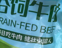 伊赛（yisai）国产黄牛 原切整块牛腱5斤（整腱一块） 谷饲 清真 炖煮 源头直发 实拍图