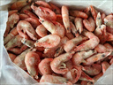 美加佳熟冻北极甜虾腹籽净重3斤 90/120规格  海鲜水产 熟冻甜虾 实拍图