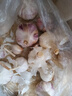 京喜自营精选大蒜水果蒜调料蔬菜火锅烧烤牛肉小龙虾食材 优惠5-6头 100g 单果3.5-5cm 实拍图