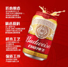 百威啤酒经典纯生330ml*24听整箱装新旧包装随机  实拍图