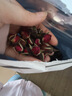 陈一凡 玫瑰花茶 金边玫瑰无硫云南干玫瑰花蕾泡水喝的花草茶袋装250g 实拍图