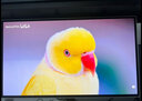 三星27英寸 G60SF 2K 500Hz QD-OLED 0.03ms(GTG) G-Sync 玄龙骑士 电竞显示器 新品2K500HZ S27FG602SC 实拍图