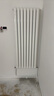 圣劳伦斯暖气片家用水暖壁挂式全屋采暖客厅卧室定制钢制暖气片柱式大水道 钢制60D单片宽 60mm*1柱 高1800mm(3柱起订) 实拍图