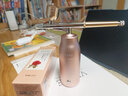 VLVEE 注氧仪家用纳米喷雾补水仪器手持高压水光脸部美容仪生日礼物女生实用送女友 女神豪华套装【升级款香槟金注氧仪+玫瑰精华露】 实拍图