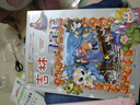 大中华寻宝系列18·辽宁寻宝记新版儿童中国地理科普知识百科漫画书，儿童科普，人文地理，漫画读物 暑假作业 一升二暑假衔接 小升初暑假衔接 实拍图