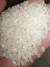 Member's Mark 东北大米 (小町香米) 10kg(5kg*2) (5kg*2) 实拍图