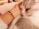 好主人金装好主人猫粮2.0 成猫幼猫蓝猫英短通用全价无谷冻干 【成幼通用】冻干猫粮3.2斤 实拍图