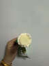 五羊牌鲜奶口味红豆绿豆雪糕70g*6支家庭装 冰淇淋冰棍批发冷饮冰激凌 实拍图