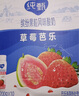 蒙牛纯甄缤纷果粒丹东草莓芭乐味风味酸牛乳利乐冠200g×10瓶 礼盒装 实拍图