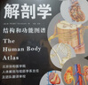 人体解剖学 实拍图