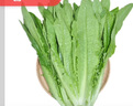 油麦菜约300g 实拍图