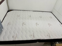 香榭柏兰 椰棕床垫棕垫硬棕榈床垫子 天然乳胶榻榻米床垫定做定制 14CM厚（防螨面料+10cm椰棕+1CM乳胶） 1.5米*1.9米 实拍图