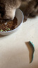 凯锐思天然猫粮成猫粮鱼肉蓝猫全价猫粮 【新客户尝】 鱼肉味-1斤装 实拍图