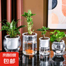 花盆绿植盆栽水培瓶透明塑料花瓶容器绿萝花盆鱼花共养缸水养摆件 水培盆-圆柱大号 【送定植篮+吸水棉绳】 实拍图