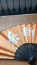 国朝扇子8寸学生古风塑料扇绢布折扇批发插画风折叠扇酒吧蹦迪扇 6号佛系 实拍图