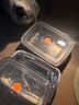 不锈钢保鲜盒食品级商用摆摊长方形方盘野餐盒水果盒多用冰箱分格 1000ml中号一个装 实拍图