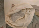 俞兆林女士内裤女纯棉抑菌底档纯色中腰三角裤女包臀无痕透气少女 M 实拍图